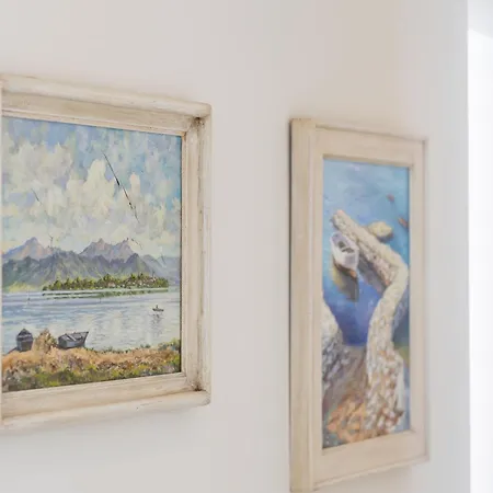 Brachia