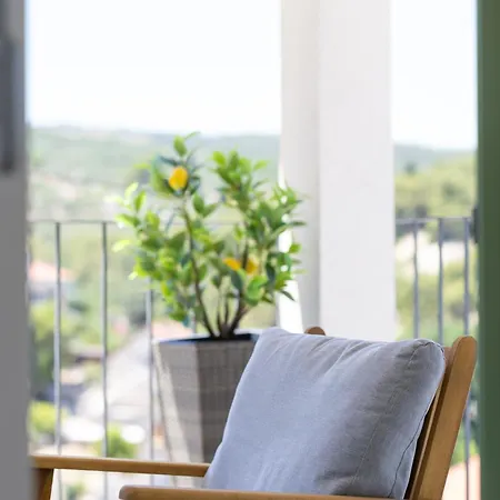 Brachia Willa Splitska