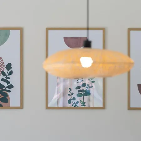 Brachia Willa Splitska